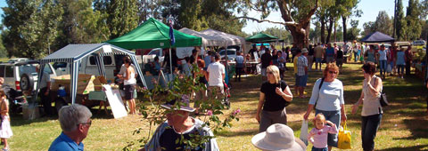 Farmers Markets farmer Farmers Markets