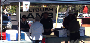 Saltbush Lamb lamb Saltbush Lamb