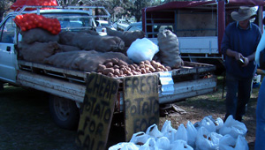 More Vegetables! potatoes More Vegetables!