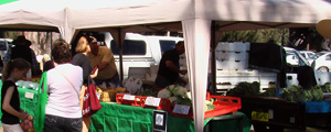 veges Fresh vegetables