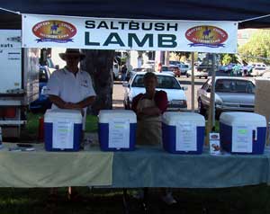Saltbush Lamb lamb Saltbush Lamb