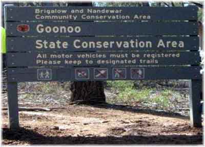 goonoo1.jpg