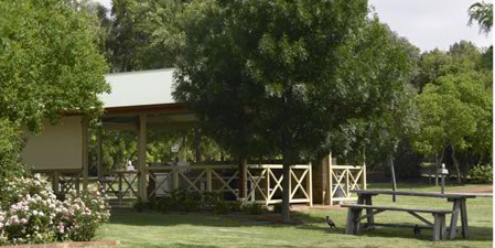 dubbo caravan park near zoo